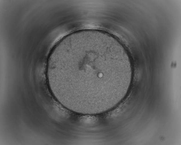 X0000099491314200806121343