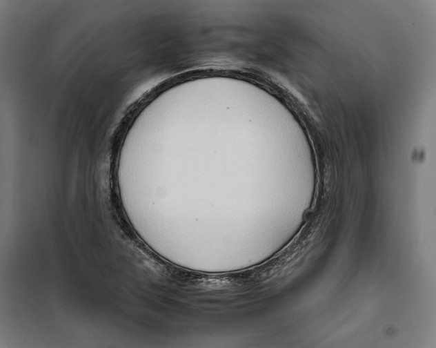 X0000099491315200806121343