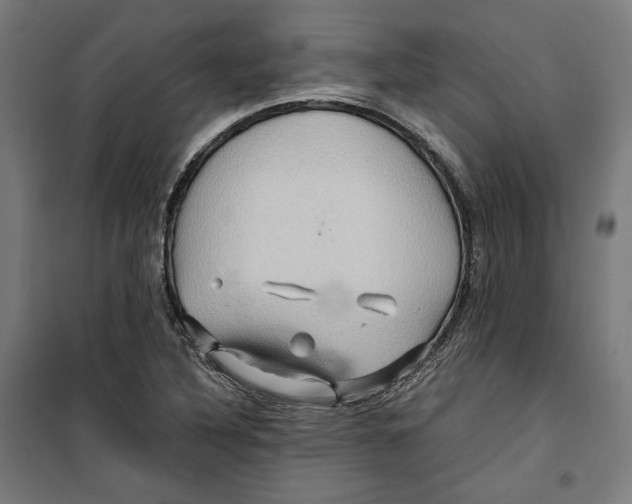 X0000099491316200806121343