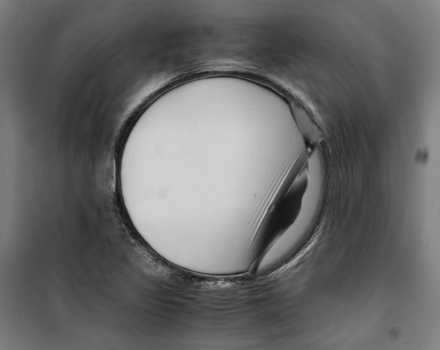 X0000099491317200806121343