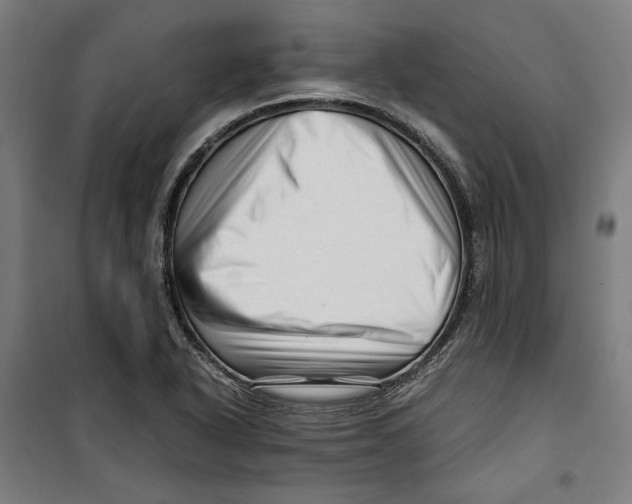 X0000099491318200806121343