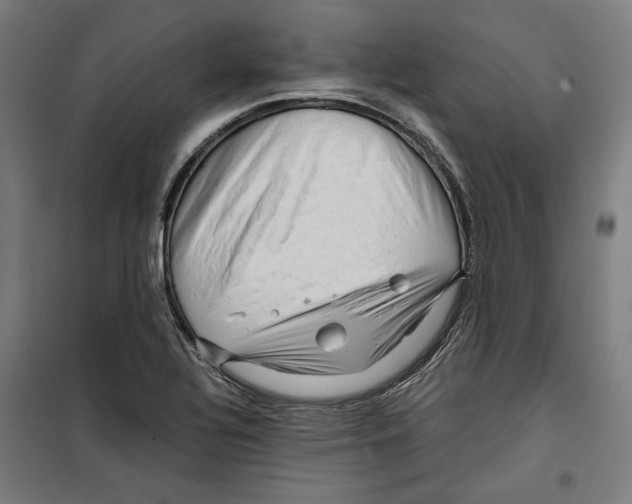 X0000099491320200806121343