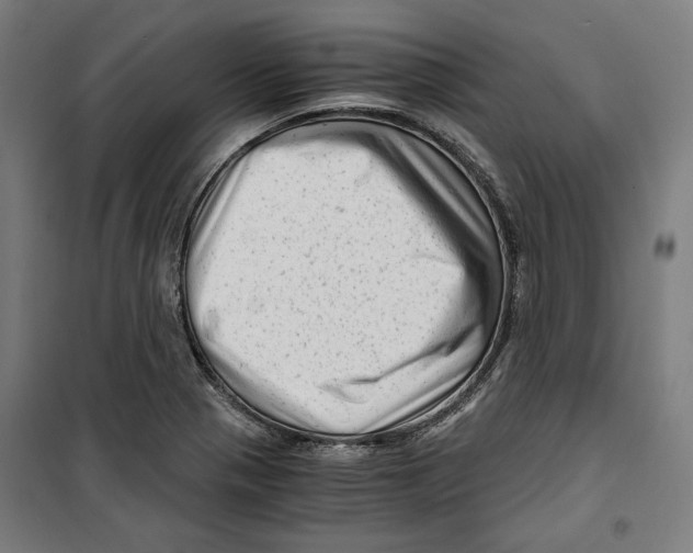 X0000099491321200806121343