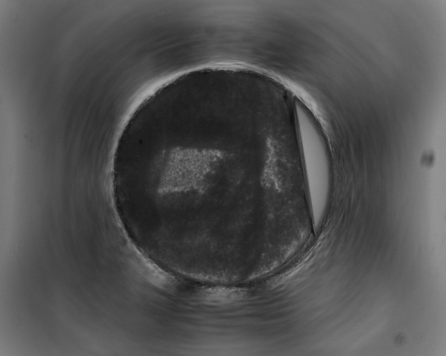 X0000099491327200806121343