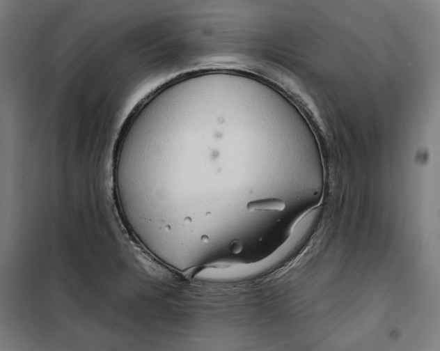 X0000099491328200806121343