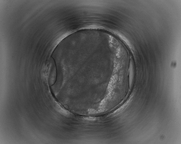 X0000099491329200806121343