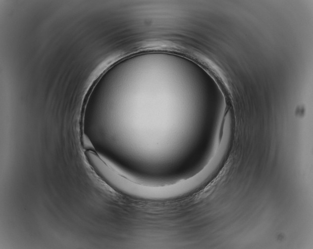 X0000099491330200806121343