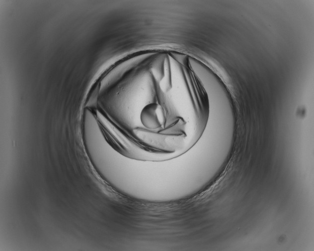 X0000099491332200806121343