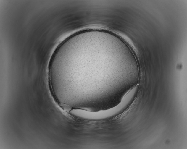 X0000099491335200806121343