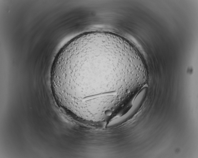 X0000099491336200806121343