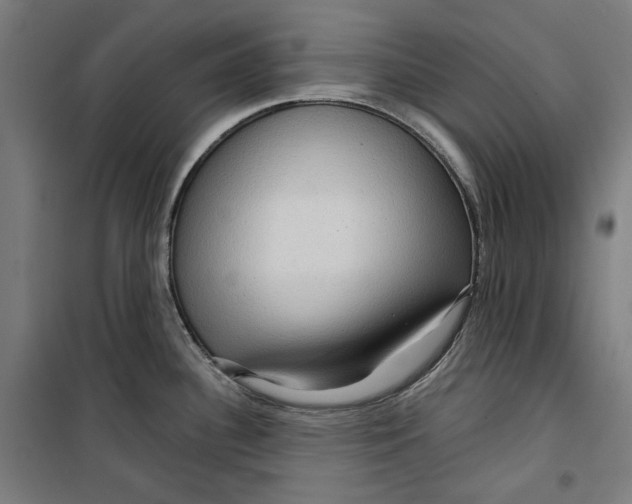 X0000099491340200806121343