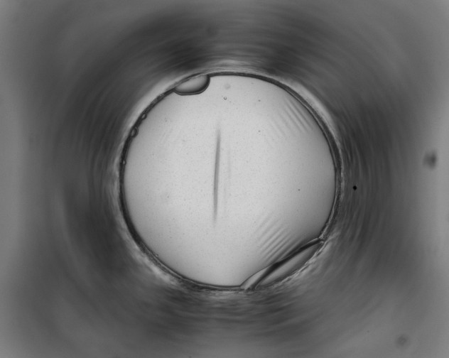 X0000099491341200806121343