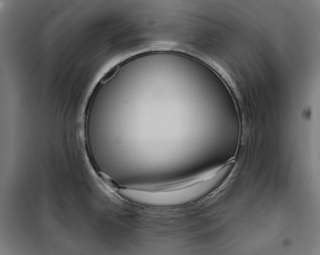 X0000099491342200806121343