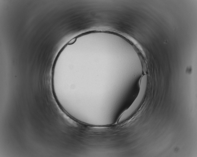 X0000099491343200806121343