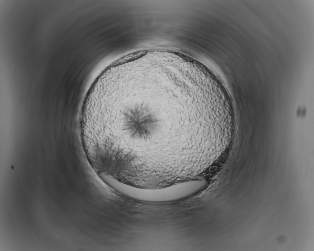 X0000099491344200806121343