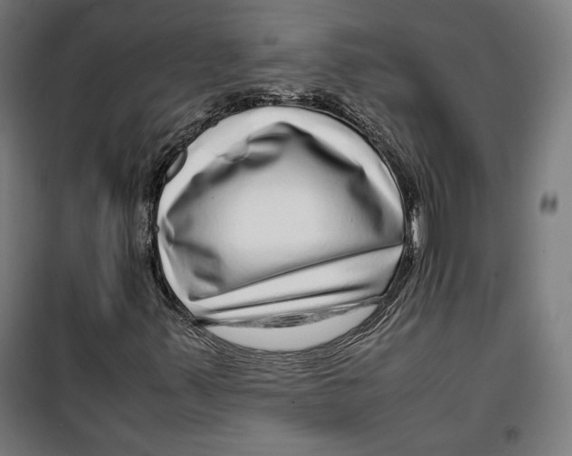 X0000099491347200806121343