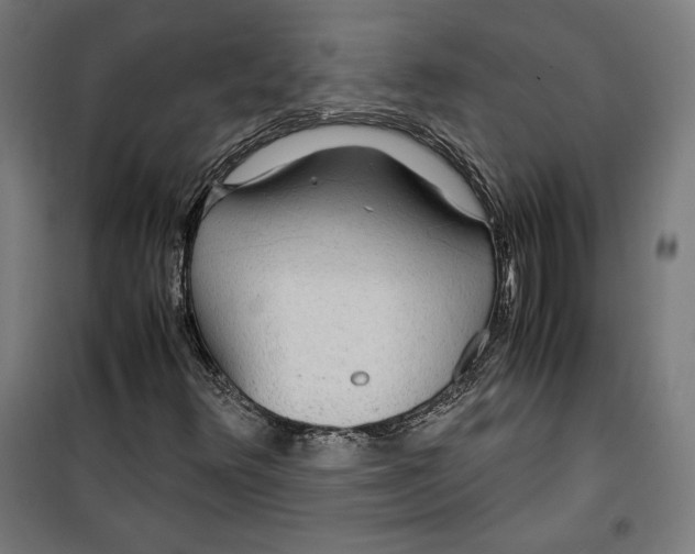 X0000099491348200806121343