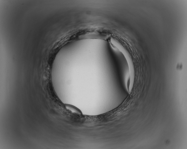 X0000099491349200806121343