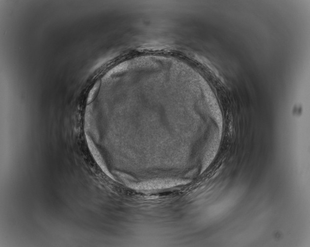 X0000099491350200806121343