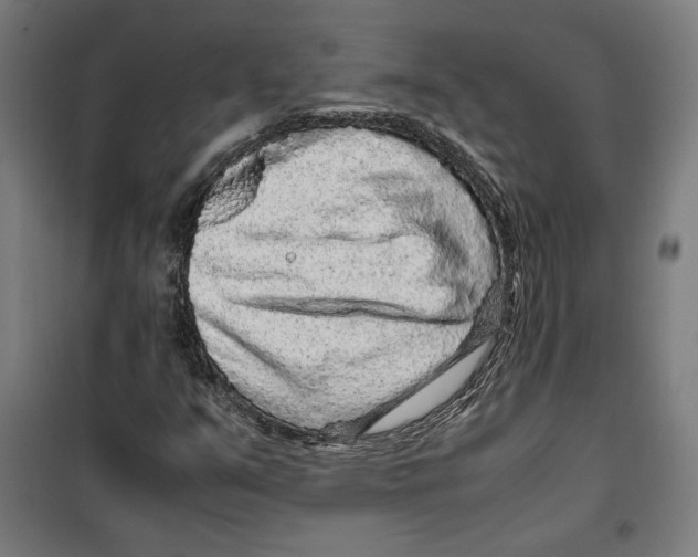 X0000099491351200806121343