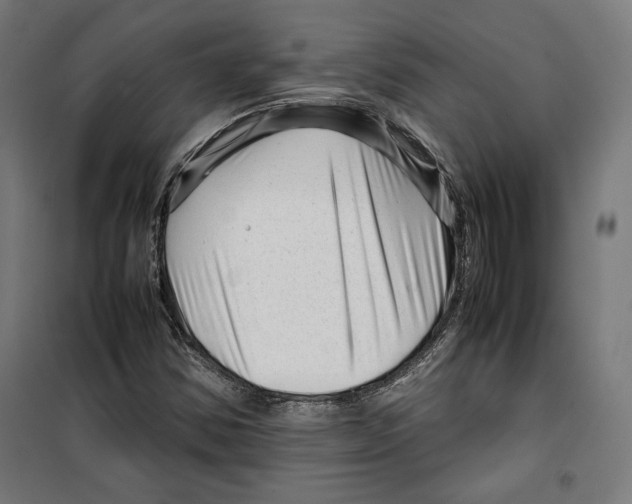 X0000099491354200806121343