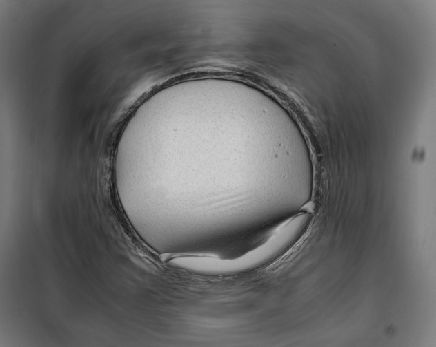 X0000099491355200806121343