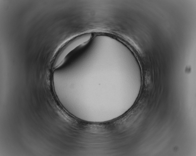 X0000099491356200806121343