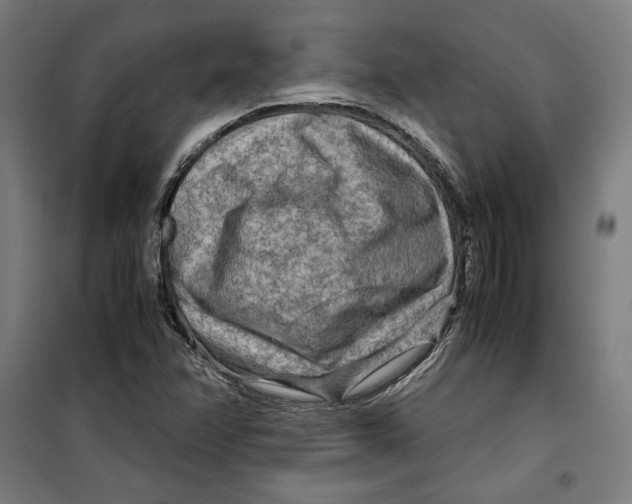 X0000099491358200806121343