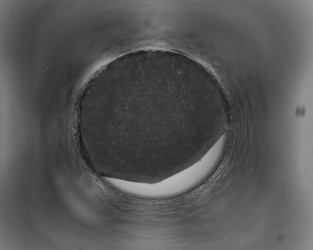 X0000099491359200806121343