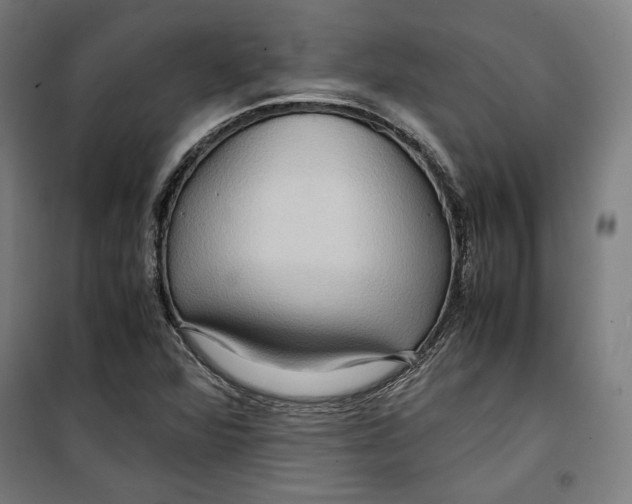 X0000099491360200806121343