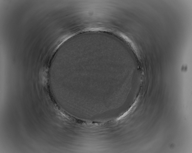 X0000099491361200806121343