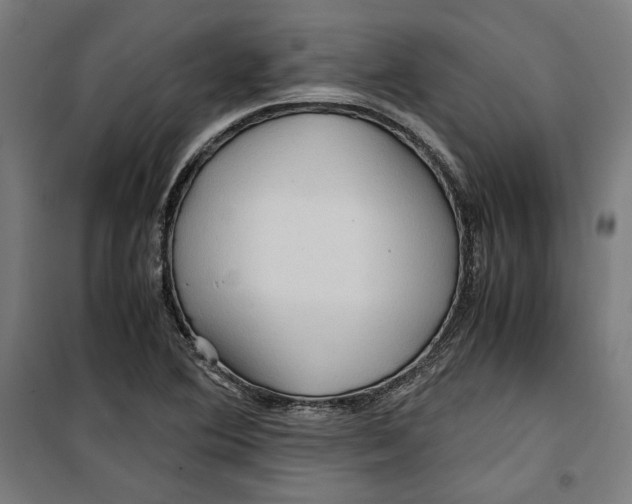 X0000099491364200806121343