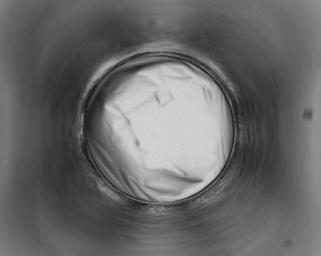 X0000099491366200806121342