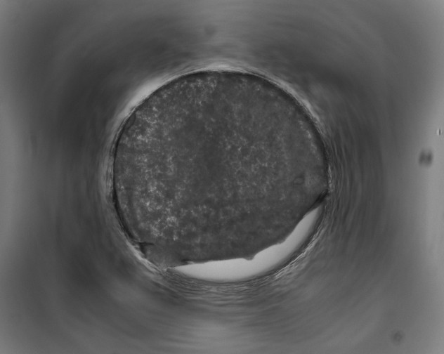 X0000099491367200806121342