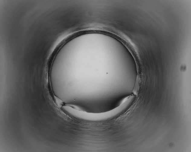 X0000099491368200806121342