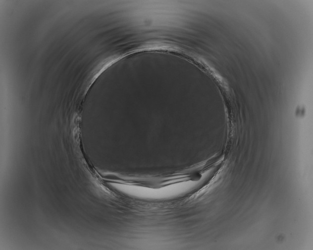 X0000099491369200806121342