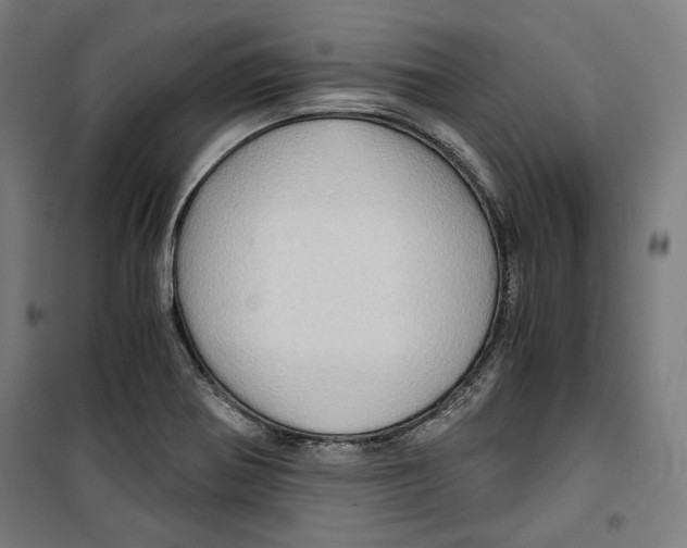 X0000099491370200806121342