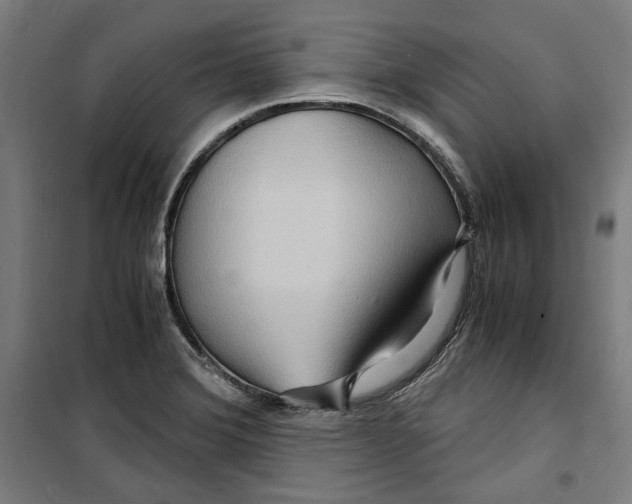 X0000099491372200806121342