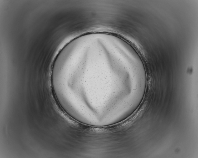 X0000099491374200806121342