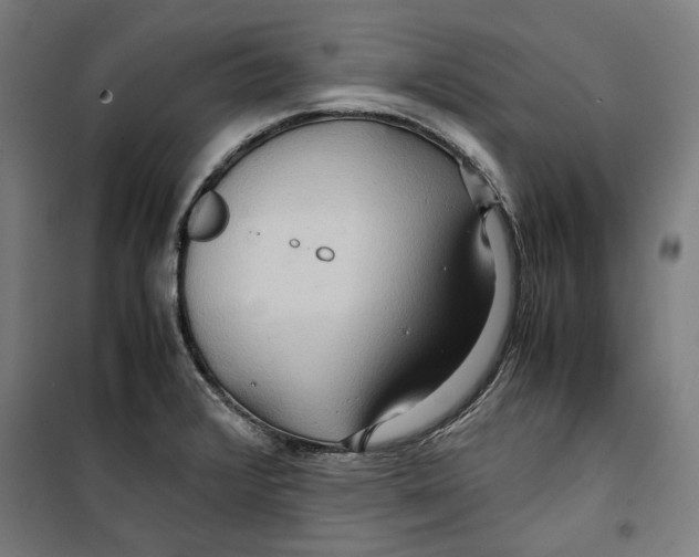 X0000099491376200806121342