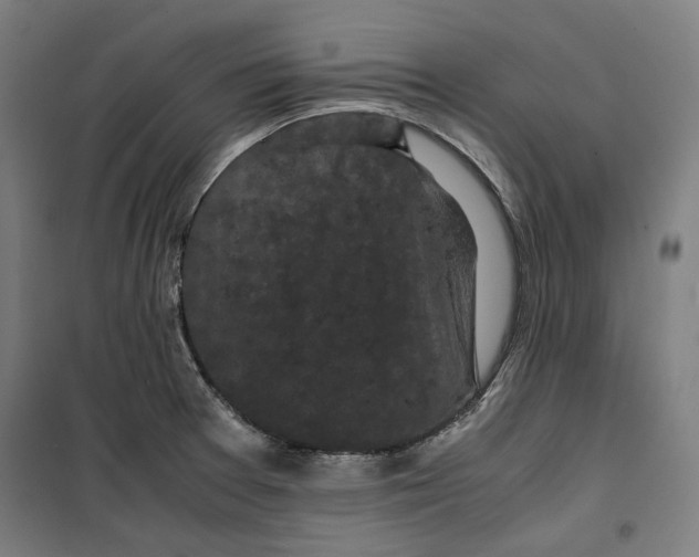 X0000099491377200806121342