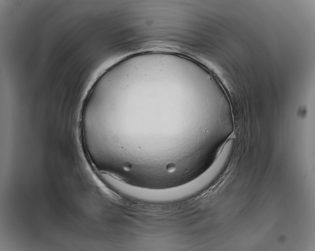 X0000099491379200806121342