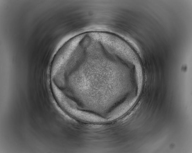 X0000099491382200806121342