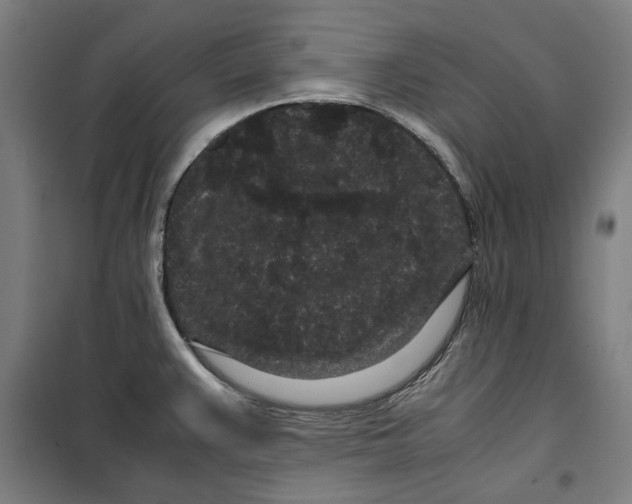 X0000099491383200806121342