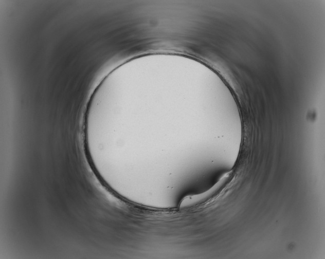 X0000099491387200806121342