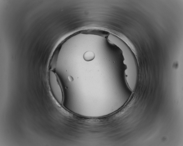 X0000099491388200806121342