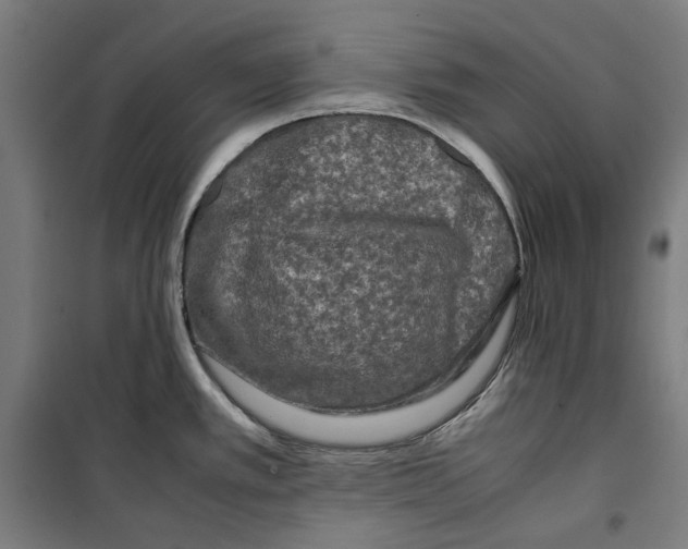 X0000099491389200806121342