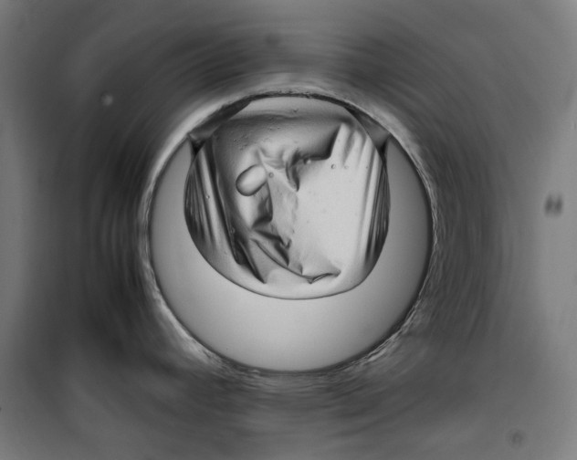 X0000099491392200806121342