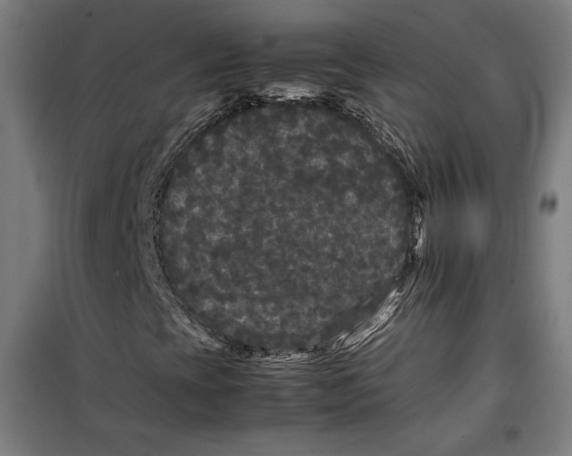 X0000099491393200806121341