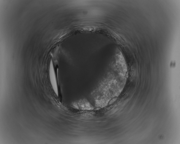 X0000099491394200806121341